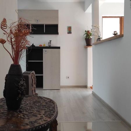 Apartament Trei Stejari Apartment ซีบิว ภายนอก รูปภาพ