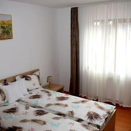 Apartament Trei Stejari ซีบิว ภายนอก รูปภาพ