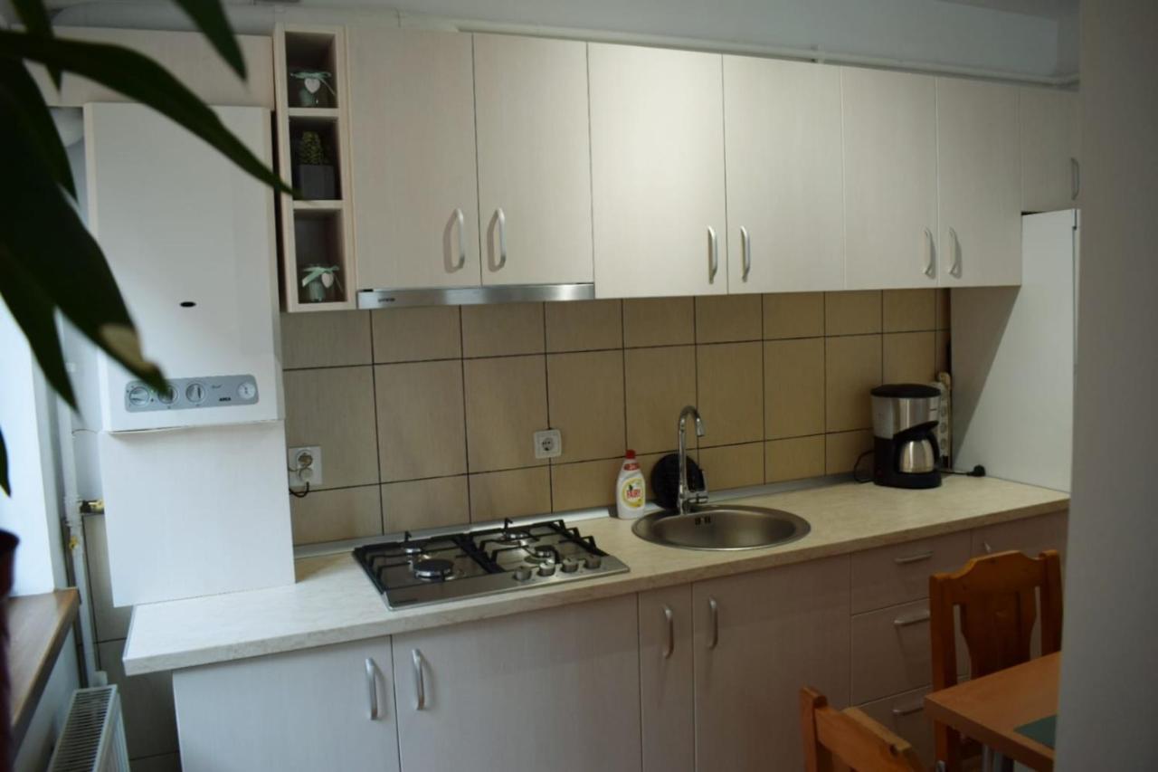 Apartament Trei Stejari Apartment ซีบิว ภายนอก รูปภาพ